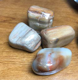 Petrified Wood Tumbled
