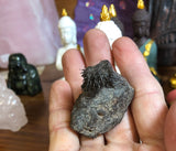 Lodestone (Magnetite)