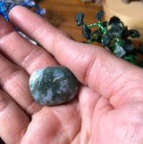 Tree Agate
