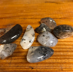 Dendritic Agate Tumbled