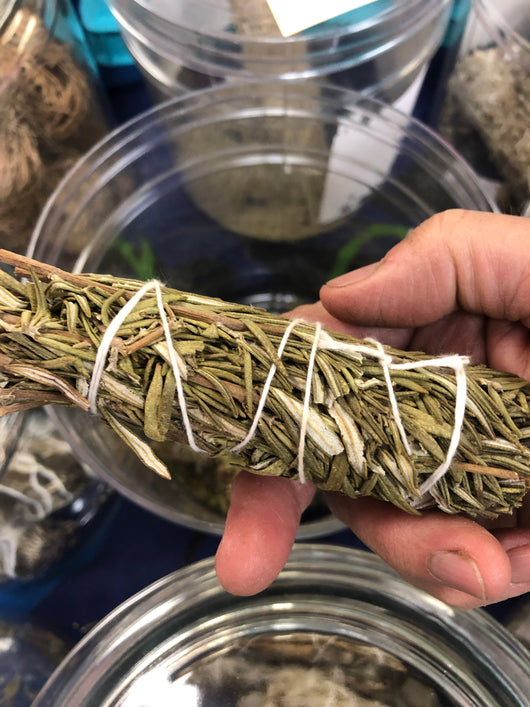 Rosemary