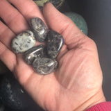 Anorthosite