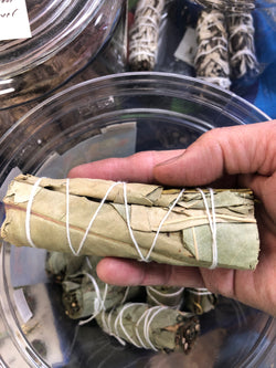 Eucalyptus