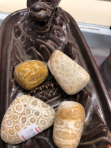 Tumbled Coral
